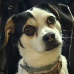 Meet your Posher, Mary